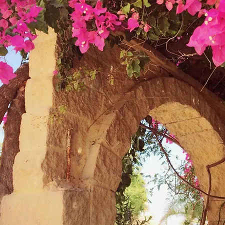Sleeps 2 - Pool Access בנאחראפה